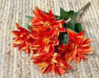 Dahlia Bush ~ 5 Large Flowers ~ 19” ~ Orange