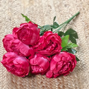 Hot Pink Peonies ~ 7 Flowers~ 21”