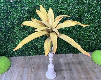 Pineapple Leaf Bush - 36 inch