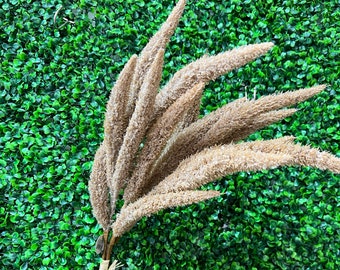 Brown Flocked Foxtail  Bundle - 3 stems - 24 inch