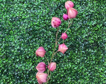 Pink Lantern Spray - 32in