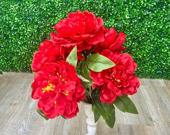 Red Peony Bush ~ 5 Flowers