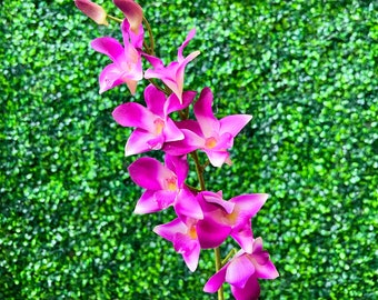 Fuchsia Dendrobium Orchid ~ 27 inch