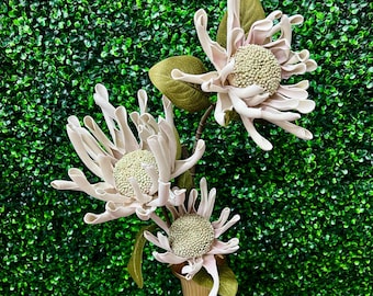Gray Spider Mum Spray - 41 inch