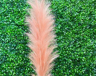 Coral Pink Pampas Plume ~ 40 in