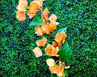 Orange Bougainvillea Spray - 34”