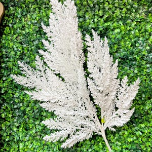 May include: A white, feathery decorative plant against a backdrop of small, green leaves. The plant has a textured appearance and is likely artificial. The background is a dense, green surface, creating a contrast with the white plant.