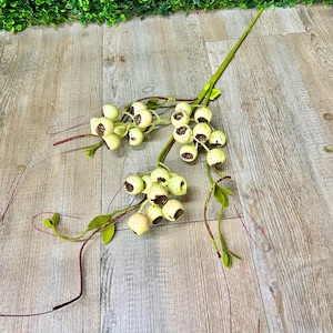 Spray Berry Twig ~ 26 cali