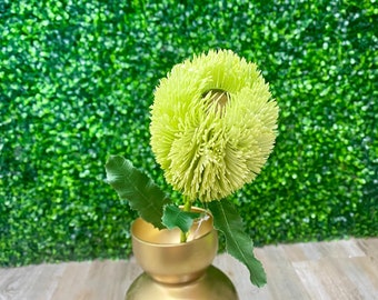 Green Banksia Stem ~ 25.5 Inch