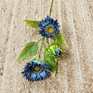 Spruzzo di girasole blu ~ 2 fiori 1 bocciolo ~ 26 pollici