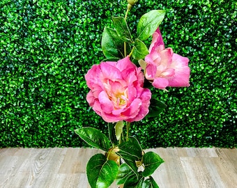 Pink Double Rose Stem