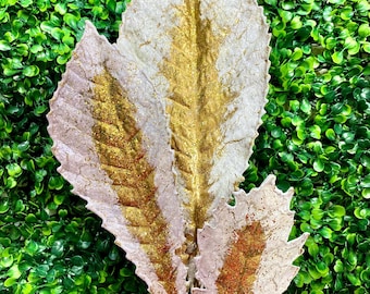 Chestnut Leaf Spray - White & Gold - 24"X9"