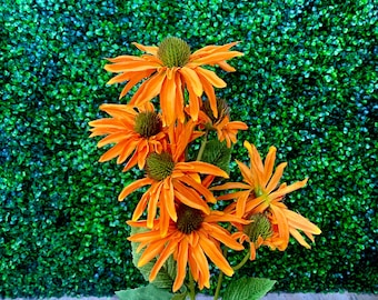 Orange Echinacea Bush - 29 inch