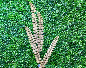 Neutral Fern Spray - 32in