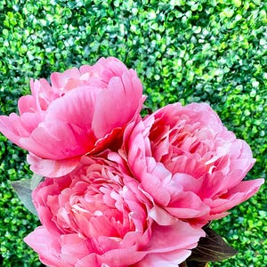 Puede incluir: Un ramo de tres peonías rosas en un jarrón dorado. Las peonías están en plena floración y tienen una textura suave y delicada.