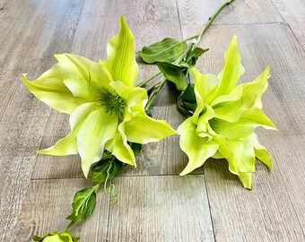 Light Green Clematis Flower Spray ~ 36”