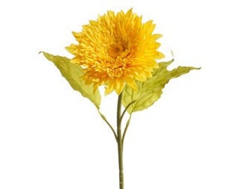 Yellow Teddybear Sunflower Stem
