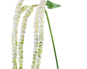 White Hanging Amaranthus Stem ~ 38 inch ~ Greenery Stem ~ 5 stems