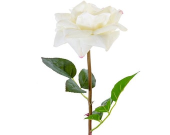 Cream White Real Touch Open Rose - 26 inches