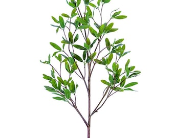 Greenery & Filler Bushes