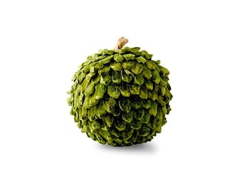 Green Petal Leaf Ball Ornament - 4.25 in