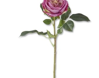 Real Touch Dark Purple Austin Rose Stem - 24 inch