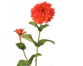 Orange Garden Zinnia Flower & Bud ~ 30in