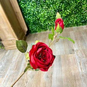May include: A single red rose and bud with green leaves and a brown stem. The rose is in full bloom, displaying its vibrant red petals. The stem is held by a hand, with a wooden floor and green wall in the background.