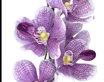 Floral Bushes & Stems