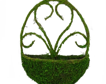 Hanging Moss Basket - 17 in x 13 in x 4 in