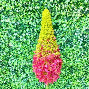 Fuchsschwanz ~ 84 cm