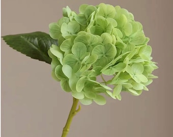 Green Lifelike Real Touch Hydrangea Stem ~ 12.5 inch