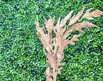 Dried Oak Leaf Spray- 32 inch