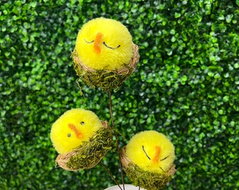 Chicks In A Nest Spray