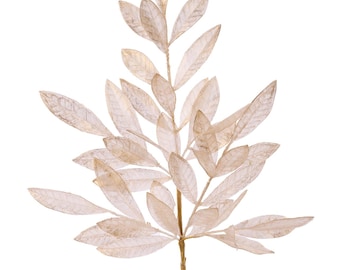 Gold Bay Leaf Spray - 25 inch