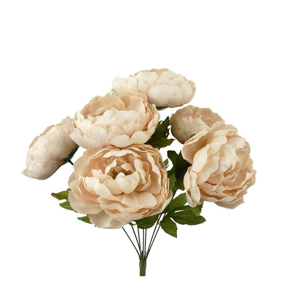 Cream Beige Peony Bush ~ 7 Flowers ~ 20”