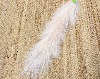 Blush Pink Pampas Plume ~ 60 in