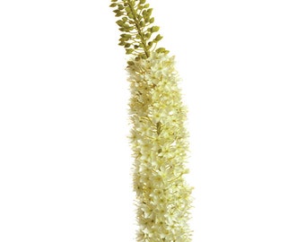 XL White Foxtail Lily Stem - 55 inch