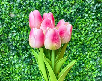 Tulip Stem x7 Pink & Green