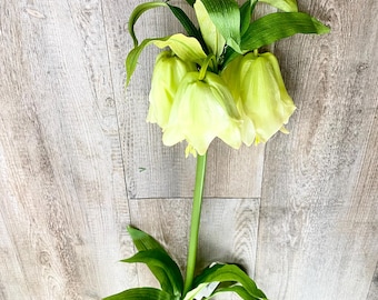 White Real Touch Crown Imperial Spray - 47 inch