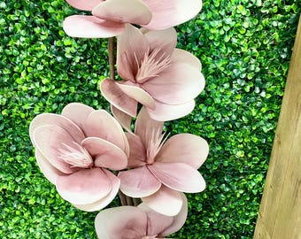 Foam Japanese Magnolia x5 - 43 inches