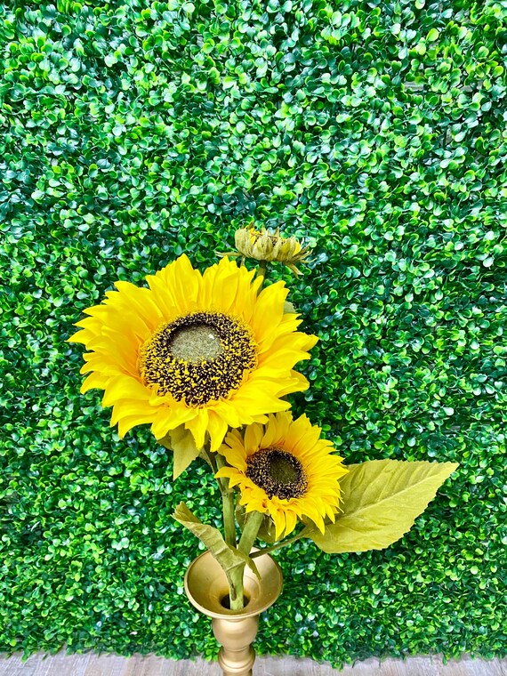 「新商品」に関するプレスリリース Sunflowers Deluxe Spray Etsy - Inch 22 ~ TVドラマ