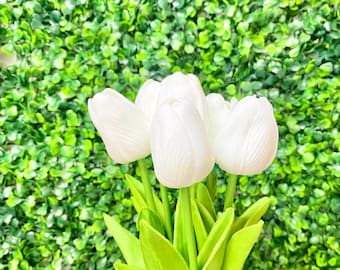 Tulip Stem x7 White ~12 inches