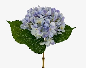 Lavender Full Garden Hydrangea - 21 inch