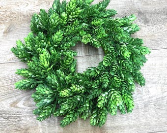 10 inch Hops Mini Foam Ring Wreath