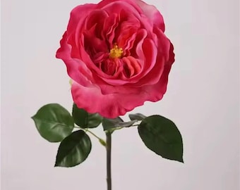 Hot Pink Juliet Rose ~ Real Touch ~ 18 inch