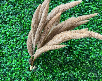 Brown Foxtail Flocked Stem Bundle