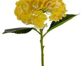 Floral Bushes & Stems