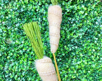 Natural Carrot Spray ~ 29 Inch