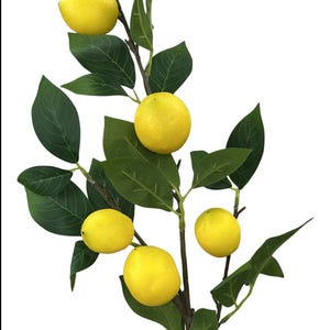 Puede incluir: Una rama decorativa de limón artificial con cinco limones amarillos brillantes y hojas verdes. Los limones son redondos y tienen una superficie texturizada. Las hojas son de color verde oscuro. La rama es marrón y tiene varios tallos más pequeños.